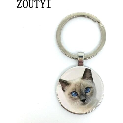 New / Hot Sale, Retro Cat Pendant Keychain Cat Eye Round Animal Pattern Keychain, Convex Glass Keychain