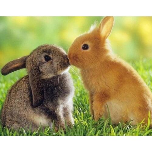 5D DIY Diamond Painting Bunny Kiss Home Decor Handmade Diamond Painting