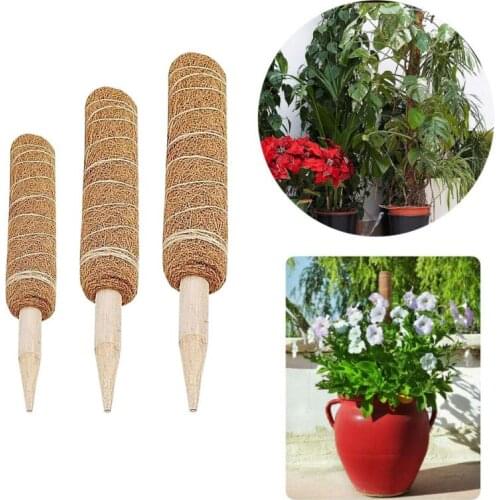 Garden Coir Totem Coconut Palm Sticks Vine Support Plant Moss Pole Pole Moss Stick For Climbing Plants Support Extension