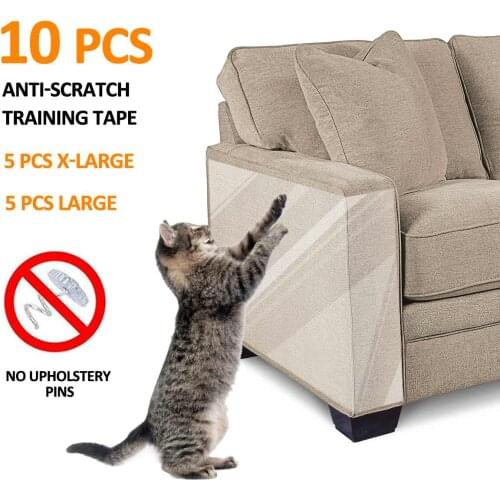 Focuspet Pet Supplies