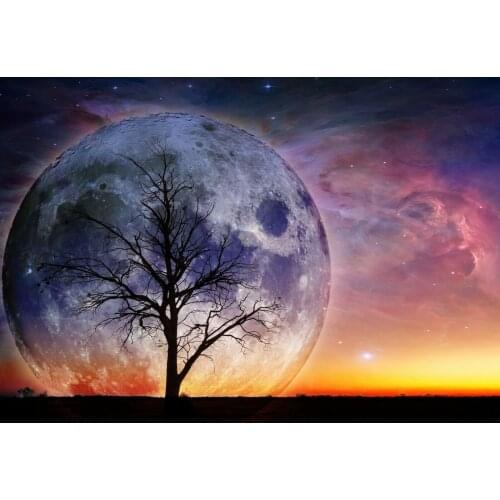 Cool Space Tree Super Moon Art Silk Poster Print 24x36inch