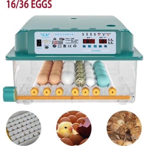 16/36 Eggs Fully Automatic Incubator Brooder Hatchery Incubator Turner Household Farm Hatcher Machine Goose Quail Chicken Eggs