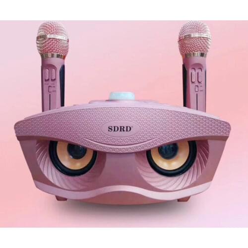 1pc Dual Bluetooth Speaker with 2 Wireless Microphones Outdoor Family KTV Stereo Mic Big Sound 20W SDRD Sd 306 Speaker Set