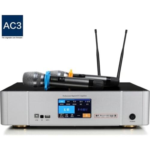 Three-in-one family karaoke amplifier