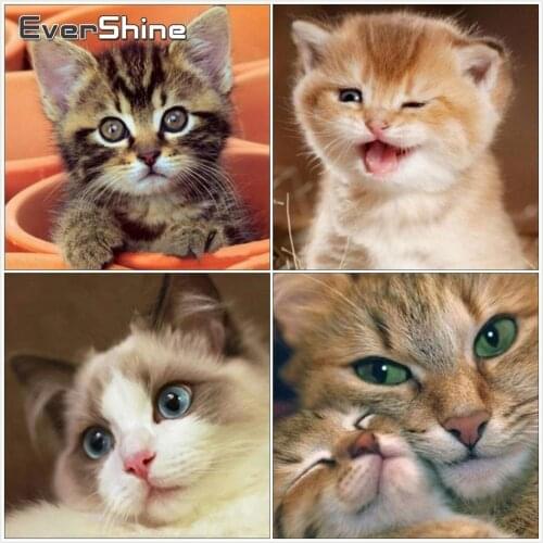 EverShine 5D DIY Diamond Painting Full Round Diamond Embroidery Cat Pictures Of Rhinestones Mosaic Animals Home Decoration