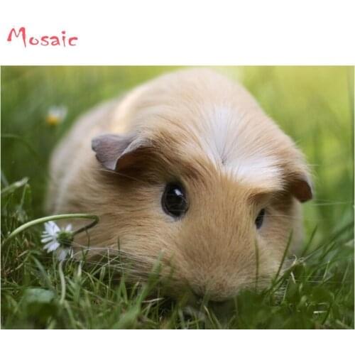 Diamond Painting cross stitch kits DIY Diamond Embroidery cute Guinea pig Diamond Mosaic Full Square Drills Home Decoration