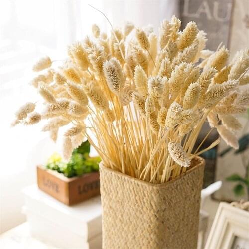 50 Pcs Natural Dried Gemstone Grass Bouquet Dry Flower Display Decoration For Home Easter Valentines Day Gift Free shipping