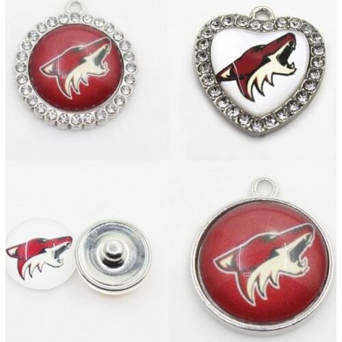 Ice Hockey Sport Arizona Charms Coyotes Devil Charms Mix Style DIY Pendant Bracelet Necklace Earrings Jewelry Accessories