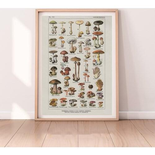 Kitchen Art Decoration Botanical Wall Art Canvas Poster Prints Mushroom Vintage Painting Picture Herbarium Home Wall Decor