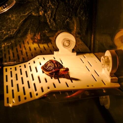 Plastic Reptile Basking Platform Fish Tank Aquarium Platform Tortoise Resting Terrace with Suction Cup Reptile Landscaping Ramp