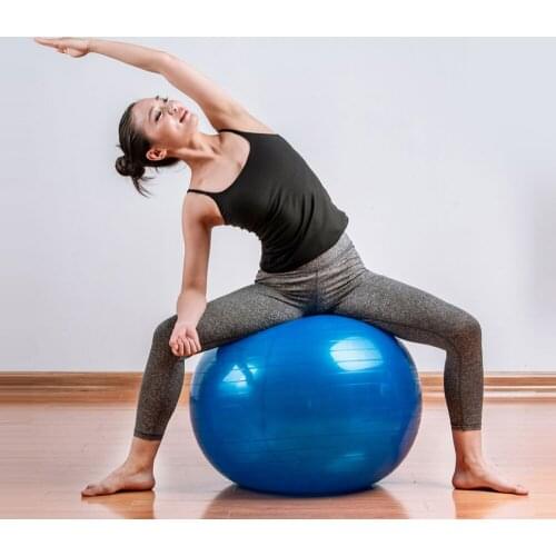 Fitness Balls Yoga Ball PVC Thickened Explosion-proof Exercise Home Gym Pilates Equipment Balance Ball 55cm Yoga Ball