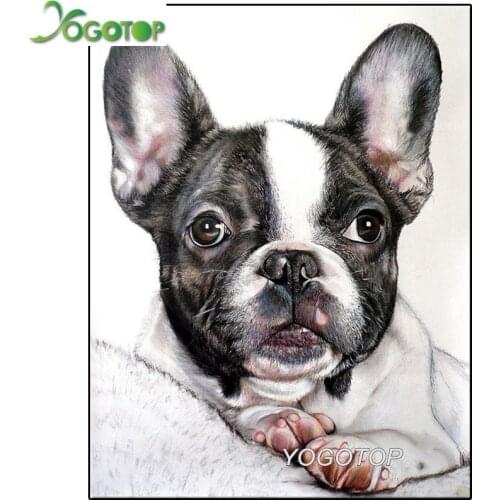 5D Full drill , diamond painting pet dog DIY diamond embroidery Bulldog Cross Stitch Rhinestone Mosaic Decoration Gift YY1757