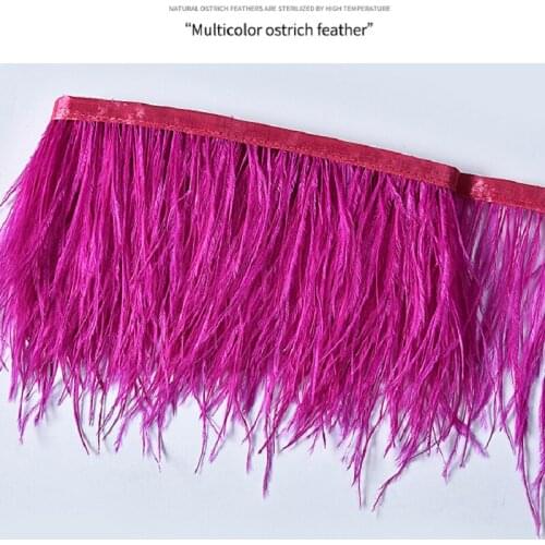1 Meter Soft Fluffy Dyed Colorful Natural Ostrich Feather Width 10-15cm Satin Ribbon Trims Fringe Clothing Sewing Crafts Decor