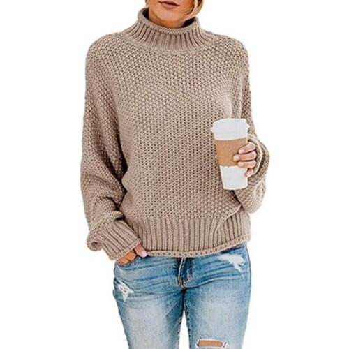 Turtleneck Knitted Pullover Sweater Womens 2019 Oversized Autumn Winter Jumper Pull White Black Sweaters Women clothes Femme
