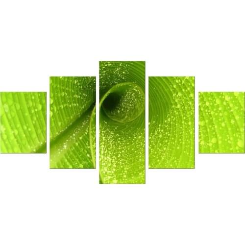 5 Pieces Free Shipping Cheap Modern Paintings For Living Room Wall Art Print Green Leaves Drops Canvas Pictures Framed