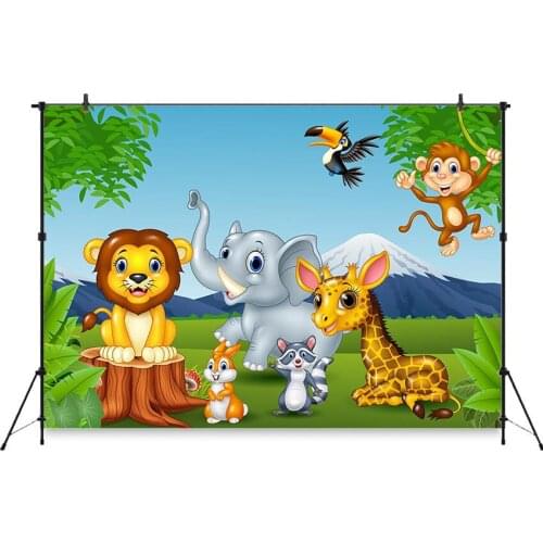 MOCSICKA Photo And Video Equipment