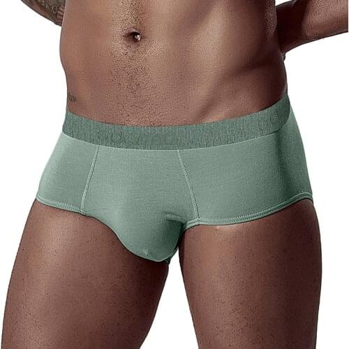 Brand Men Underwear Men Briefs Modal Cool Male Panties Cueca Tanga Comfortable Underpants Soft Low Waist Sexy Jockstrap