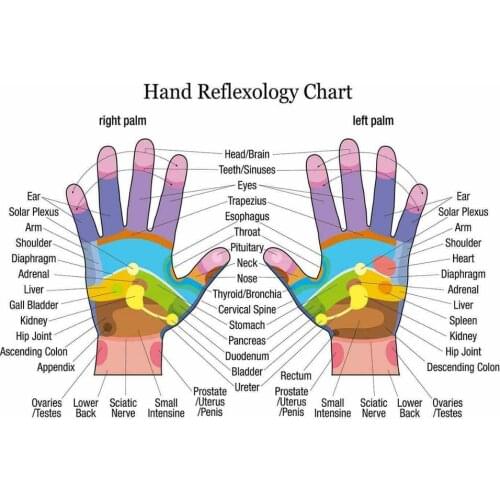 More Style Reflexology Labeled Hand Chart Holistic Health Large Colour Art Print Silk Poster for Your Home Wall Decor 24x36inch