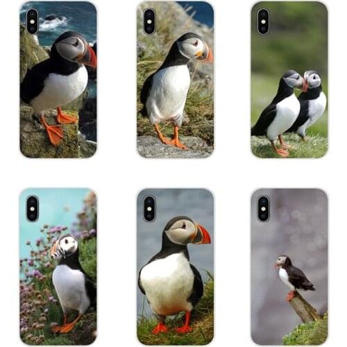 For Apple iPhone X XR XS 11Pro MAX 4S 5S 5C SE 6S 7 8 Plus ipod touch 5 6 Fratercula Accessories Phone Shell Covers