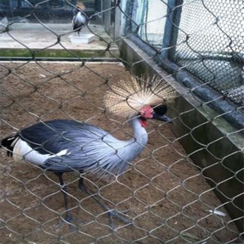 304 316 316L High Strength Stainless Steel Cable Wire Rope Mesh Net For Aviary Zoo Mesh Bird Cages