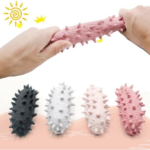 1pc Novel sea cucumber simulation squeeze vent pressure relief sea cucumber crystal mud color random
