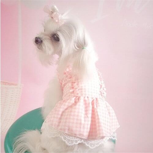 Small Dog Dress Cat Puppy Clothes Summer Pet Apparel Outfit Chihuahua Yorkshire Clothing for Dog Skirt Princess Costume Dropship