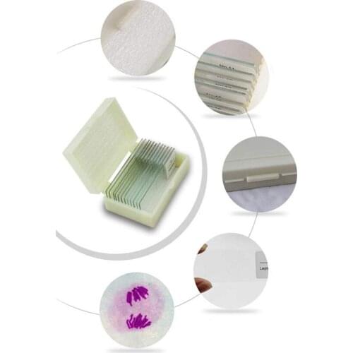 10pcs Biology Prepared Microscope Slides Animal Plant Tissue Slides