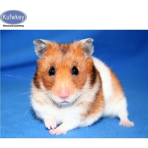 Hamster 5D DIY diamond painting full square round drill Guinea pig cute pet 3D embroidery cross stitch home decoration gift