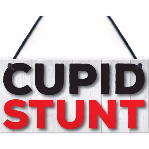 Meijiafei Cupid Stunt Funny Man Cave Home Bar Shed Pub Hanging Plaque Friendship Sign Sign 10"x5"