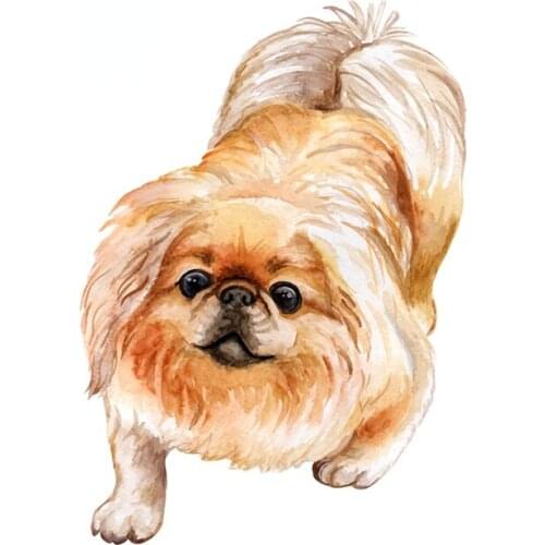 13cm x 9.3cm for Pekingese Car Stickers and Decals Motorcycle Helmet Waterproof Creative Scratch-proof Window Decal