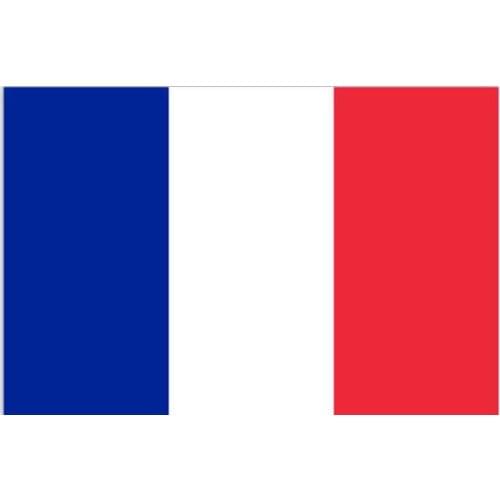 New large french flag great france poly banner flag 2*3ft 90*150cm france Cup flag national polyster french flag