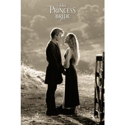 PRINCESS BRIDE MOVIE Art Film Print Silk Poster Home Wall Decor 24x36inch