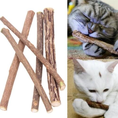15/20pcs Natural Catnip Pet Cat Molar Toothpaste Stick Matatabi Actinidia Fruit Silvervine Cat Snacks Sticks Pet Cleaning Teeth