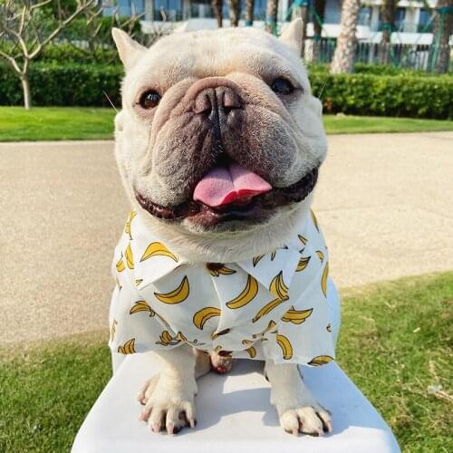 Fashion Pet Dog Summer Hawaii Shirt Cooling Clothes For Small Medium Puppy Dogs T-shirt Schnauzer French Bulldog Pug TPC27