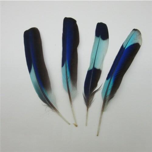 Wholesale 10 PCS/Lot Natural Kingfisher Feather 2-4"/5-10CM DIY Pheasant Feathers Jewelry Accessories Plumes