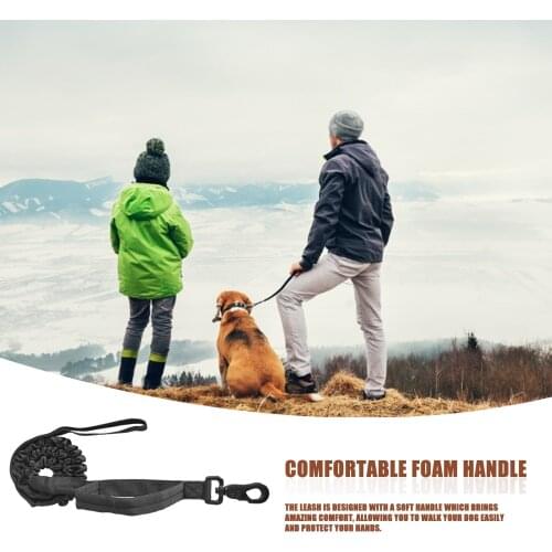 Dog Leash Reflective Strong Nylon Pet Leashes With Soft Handle Double Nylon Durable Stretch Leash For Outdoor Dog Leashes