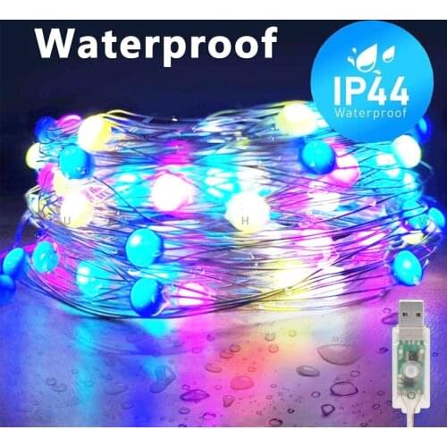 Vieruodis LED String Lights With Transparent Wire