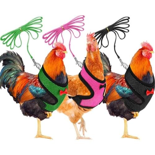 DURUING Carriers For Animals