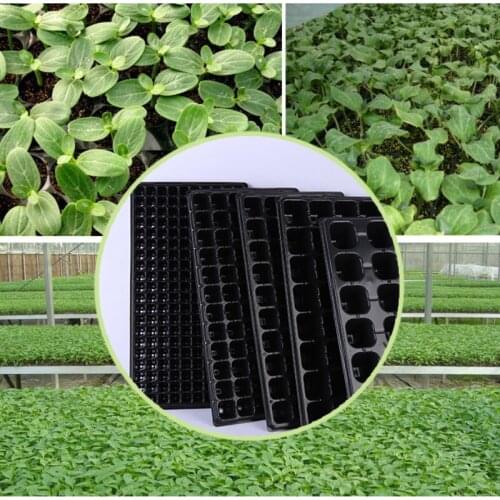 Seedling Tray Flat Tray Plastic Seedling Box Non-porous Tree and Vegetable Seedling Tray Grow Box 54x28cm 20Pcs