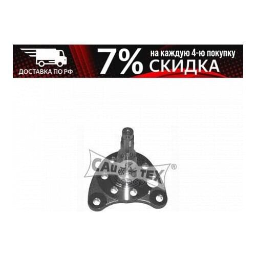 Cautex Suspension Arms