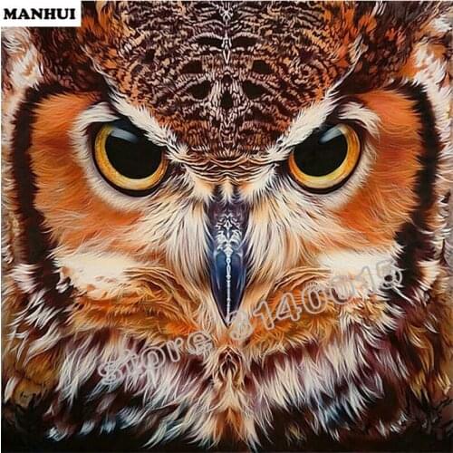 Diy Diamond embroidery Cross stitch kit Diamond painting Owl 3d Diamond mosaic full Paste Home Decoration ABC348