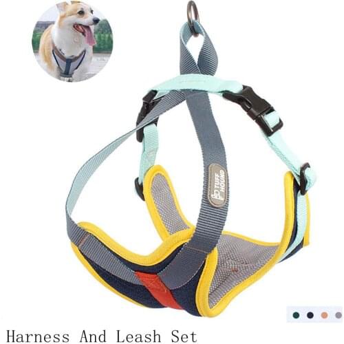 Comfortable Dog Summer Cooling Vest Clothes Adjustable Breathable Light Pet Cooling Harness For Small Medium Large Dogs
