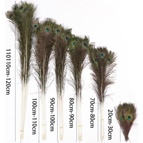 10-100PcsTop Quality Beautiful Natural Peacock Feather Diy Jewelry Decorative