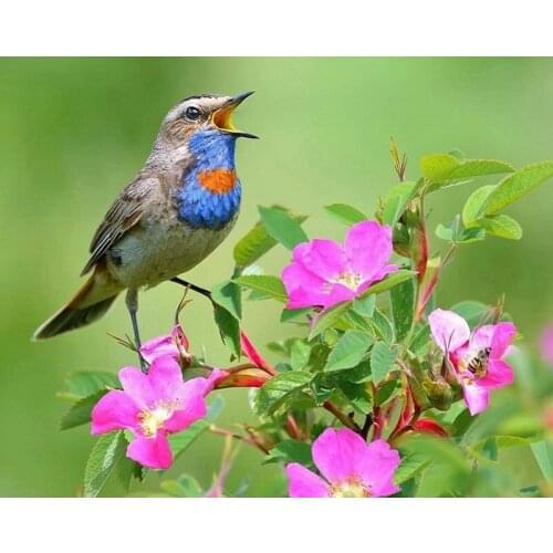 YIKEE diamond painting Flower and bird,diamand painting complet,diamond painting square K185