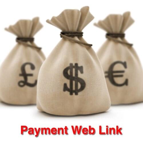 Stage Light Price Difference Payment Web Link for LED Moving Head Light Fog Machine Par Light Accessories/SX-P01