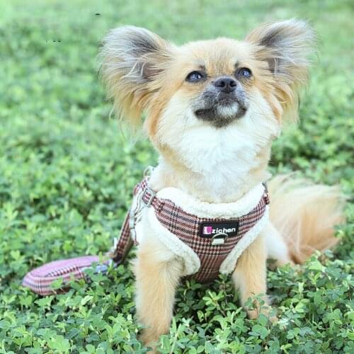 Dogs Cats Harness with Snack Pack Sunflower Embroidery Winter Dog Harness and Leash Set Soft Fleece Edge for Small Medium Dogs
