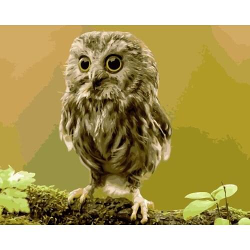 MaHuaf-i786 DIY oil painting by numbers animals smart owl Acrylic picture wall art canvas painting for home decor unique gift