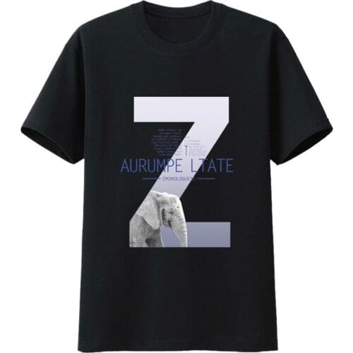 Streetwear T-shirt 2020 New Summer Short Sleeve Hip Hop Cotton Loose Printed Trendy Clothes T-shirt Brand Mens Clothes