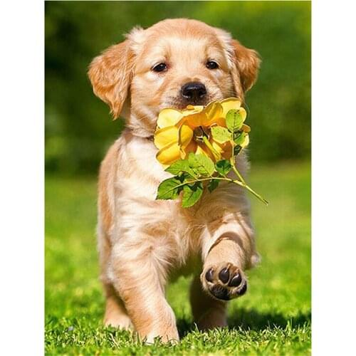 Animal Golden Retriever DIY Embroidery Cross Stitch 11CT Kits Craft Needlework Set Cotton Thread Printed Canvas Home Sale