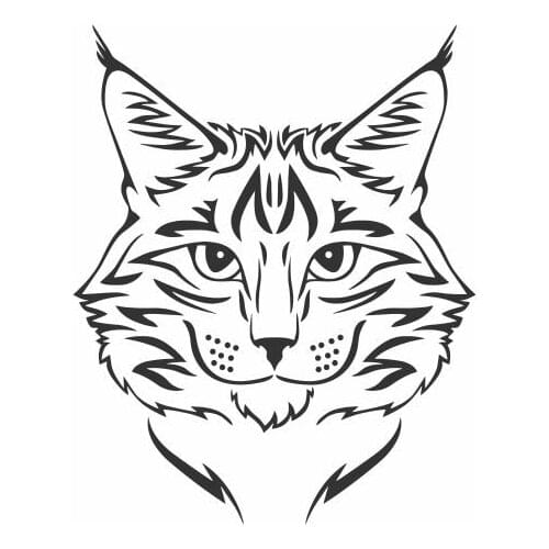 A Cat With A Strong Expression Vinyl Car Decal For Car Body Car Back Glass Funny Top Quality FA193